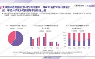 天猫年终运营总结，天猫年终运营总结与反思