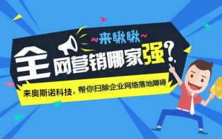 企业全网运营，企业全网运营是什么