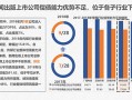 运营及偿债能力分析，运营及偿债能力分析报告
