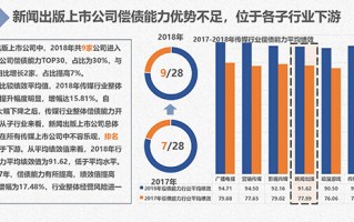 运营及偿债能力分析，运营及偿债能力分析报告
