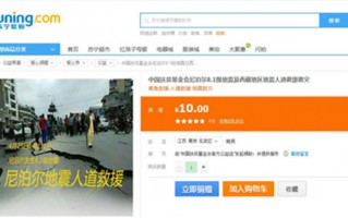 苏宁众筹运营商，苏宁众筹
