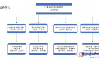 分公司运营管理方案，分公司运营管理方案怎么写