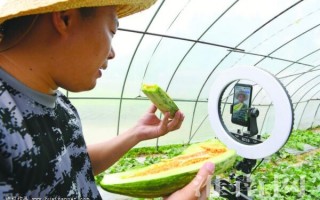 电商代运营 产值，电商代运营可靠吗