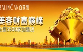 百莲凯运营，百莲凯运营总监工资
