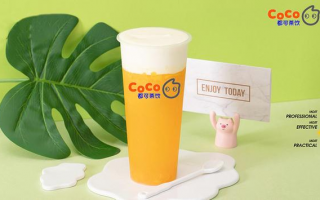 coco奶茶运营模式，coco奶茶是哪里的品牌