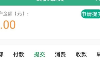 上海公共租赁住房运营，上海公共租赁住房运营有限公司