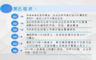 企业运营案例分析，企业运营案例分析报告