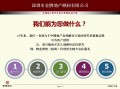 房地产代理公司运营，房地产代理公司运营模式