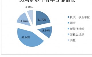 项目化运营模式，项目化运营模式有哪些