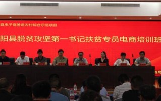 电子商务公司运营总监，电子商务公司运营总监招聘