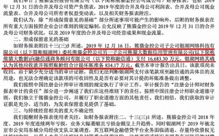 银湖网 运营报告，2020银湖网现在的状况