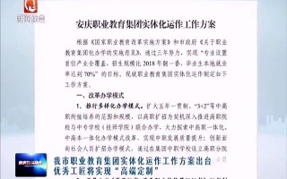 高端定制运营方案，高端定制运营方案怎么写