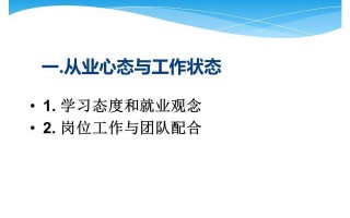 电商运营述职报告ppt，电商运营述职报告ppt范文