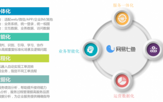 saas运营是做什么，saas运营前景