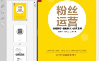 韩国粉丝运营模式，韩国粉丝运营模式是什么