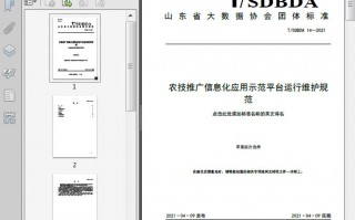 竞价平台运营规则，竞价平台运营规则最新